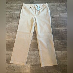Brand New!!! Lane Bryant signature fit relaxed straight mid rise Jean.